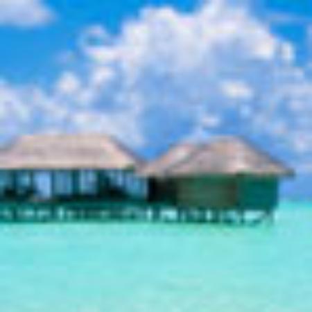 Gracie-Mai's Tea Room